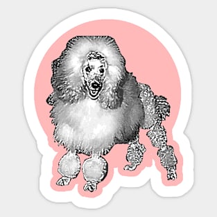 Emma Poodle 50's stylish grooming Sticker